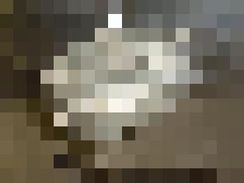 Фляжка солдатская