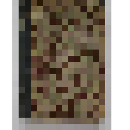 Книга. Посадка леса и другие вопросы лесокультурного дела. Тип. Акц. О-ва "Петр Барский в Киев"