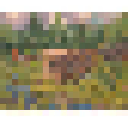 Картина. Весенний мотив