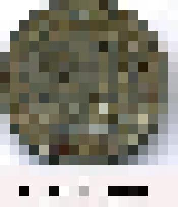 Монета. 20 копеек