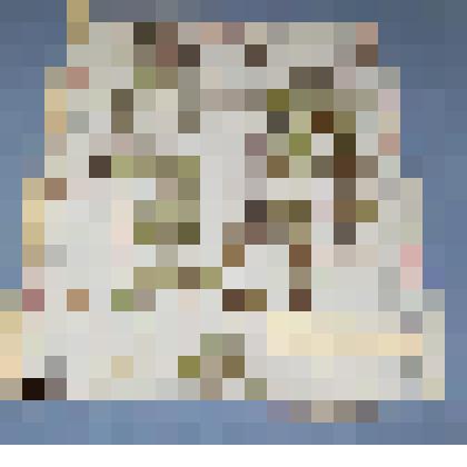 Ботаническая коллекция. Душица, на гербарном листе, Усть- Камышта