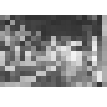 Большой дворец. Танцевальный зал. Общий вид