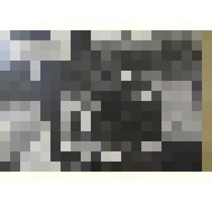 Фото. Взвешивание рыбы.Рыбхоз с.Любимовка Нижнегорского района