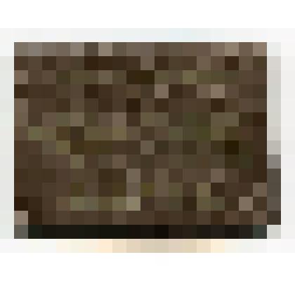 Членский билет № 389  Добровольного спортивного общества «Наука»,  Мокрякова Б.П