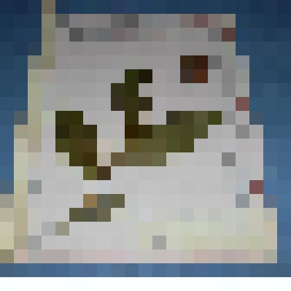 Ботаническая коллекция. Башмачок крапчатый, семейство орхидные, на гербарном листе, ст. Кулумыс, кедрово-пихтовая  тайга. Cypripedium Orchidaceae gyttafum Sw