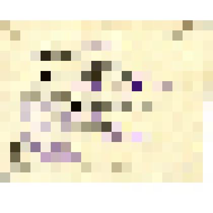 Удостоверение