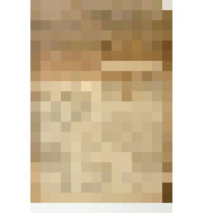 Газета «Единство» №105 от 2 августа 1917 г