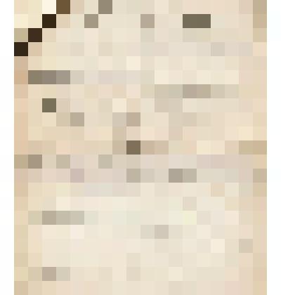 Телеграмма № 186 в г. Ирбит В.Н.Алину от Халфиных из г. Н.Челны, 14.01.1908 г