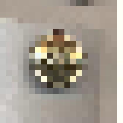 Пуговица на ножке рельефная от военной формы