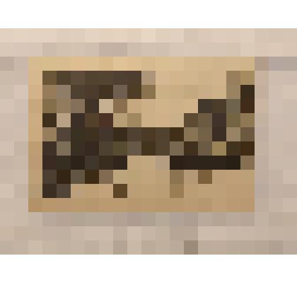 Почтовая карточка от Мандельштама Е.Э