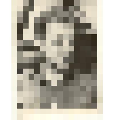 Фотография: Корчуганов А.Л., свекловод Октябрьского отделения совхоза "Октябрь" Каменского района Алтайского края