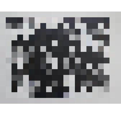 Лев и собачка. Иллюстрация из серии "Рассказы о животных"