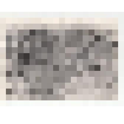 Фото/чб. Энгельсская опытно-мелиоративная станция (ВОЛЖНИИГИМ) . Оросительный канал в капустном поле (деревянный трубопровод). 1960-е