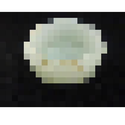 Баночка из-под крема