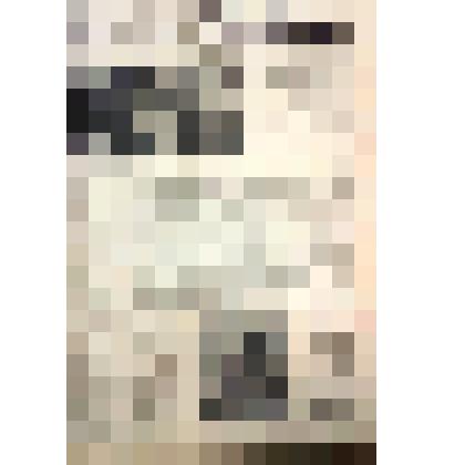 Газета. "Серп и Молот" - орган Клинского горкома КПСС, Клинского и Солнечногорского городских Советов депутатов трудящихся Московской области. № 147 (6496) от 10 декабря 1964 г