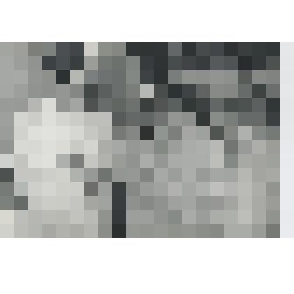 Фото ч/б. Малинин А.Ю. - директор НИИМВ показывает образцы продукции на выставке з-да "Элма"