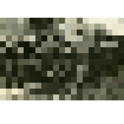 Фотография. Пехота на параде в г. Харькове