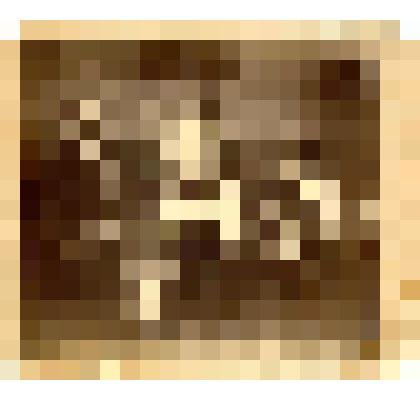 Групповой снимок. Семья Шерлаимова Павла Леонтьевича