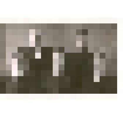 Фотография: бригада коммунистического труда Каменской АТК