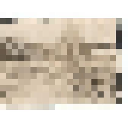 Ф/чб. Лейтенант Потехин М.С., выпускник Энгельсской школы пилотов  (3 ряд 1 слева)., с сослужвцами-пилотами на аэродроме у самолета. 1936-1938