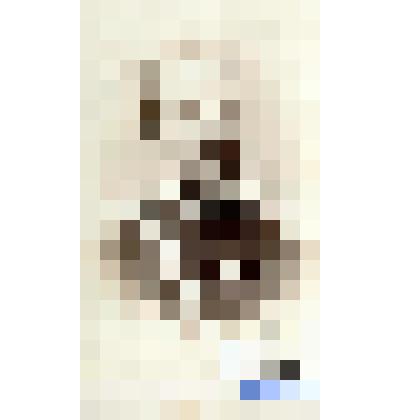 Фотография черно-белая. Офицер (неизвестный)