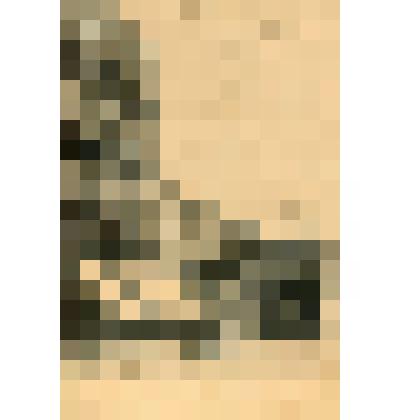 Лист. Нахимовский проспект. Из альбома "Виды Севастополя"