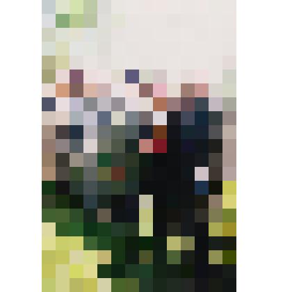 Фотография. На городском кладбище у братской могилы