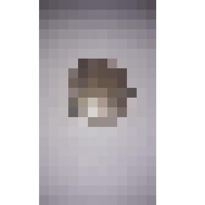 Монета достоинством 50 рублей, Банк России