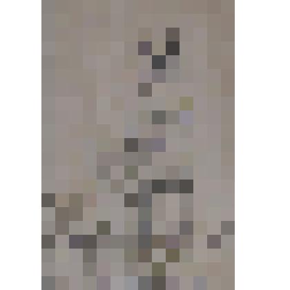 Жена кондитера