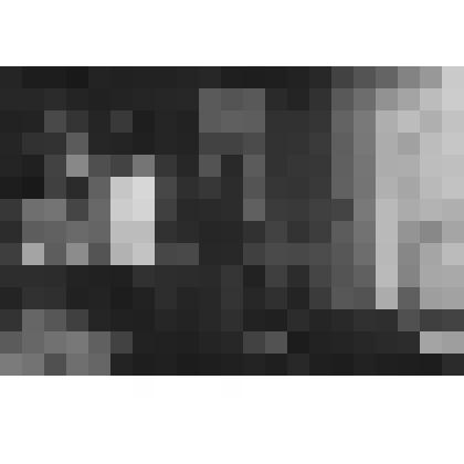 Фермерский дворец. Приемная Александра II. Западная стена