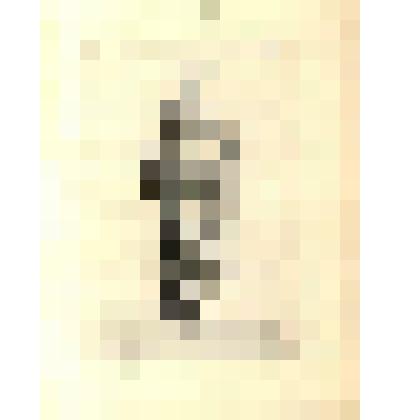 Antique. (Статуя "Оратор" (№ 28) - лист из альбома: «Recueil des statues, groupes, fontaines, termes, vases, et autres magnifiques ornaments du Chateau & Parc de Versailles.» T. I-IV. (Собрание фигур, групп, терм, фонтанов, ваз, статуй и других орнаментов