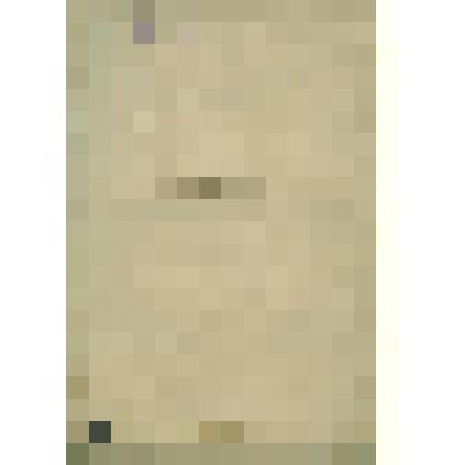 Журнал Сольвычегодского Сиротского суда