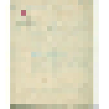 История развития пчеловодства в Сольвычегодском уезде