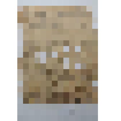 Письмо Мирмовича Григория Львовича, который в июле 1941г. ушел на фронт, воевал в частях 4го Украинского фронта