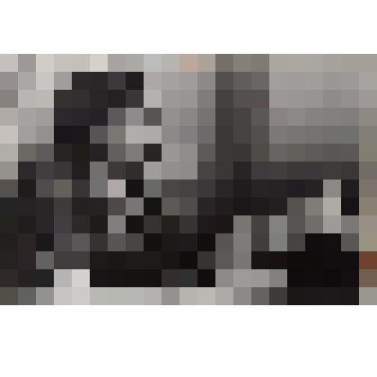 Бурлюк-Кузнецова Людмила Давидовна (1884-1968)