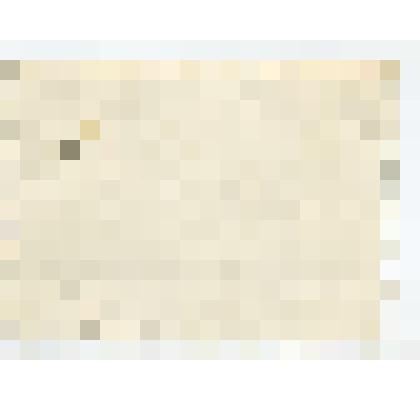 Фотография – Продавцы галантерейного и парфюмерного отделов Гатчинского универмага