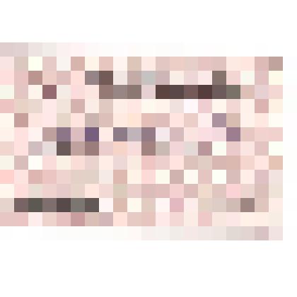 Мандат. Мандат Трошкина Алексея Федоровича, делегата V  Съезда Всероссийской Организации  ветеранов от... организации. Мандатная комиссия Съезда, ноябрь 2005г