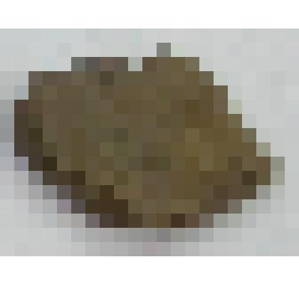 Фрагмент керамики