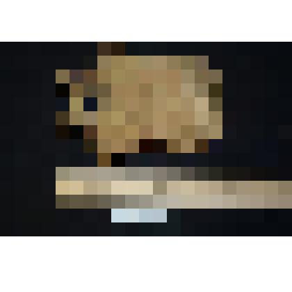 Позвонок динозавра