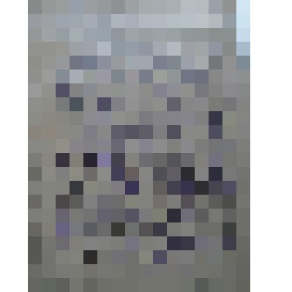 Рисунок «Песня дружбы»