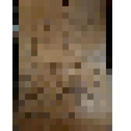 Выжигание на доске "Утка с утятами"