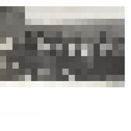 Фотография. Рабочие совхоза "Яковский" на лекции