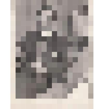 Фотография. Кассиль Л.А., Михалков С.В