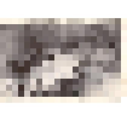 Фотокопия картины "Высадка десанта на о. Семуси на Курильских островах"