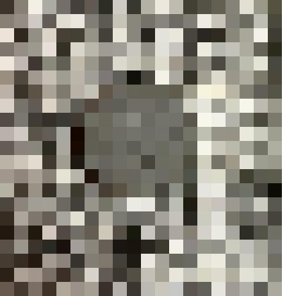 Монета достоинством 5 шекеля