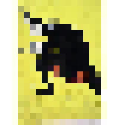 От севера идет адмирал Колчак