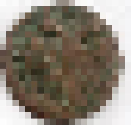 Монета. Российская империя