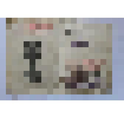 Удостоверение к медали "За победу над Германией в Великой Отечественной войне 1941 - 1945 гг." на имя Белозёрова В.И