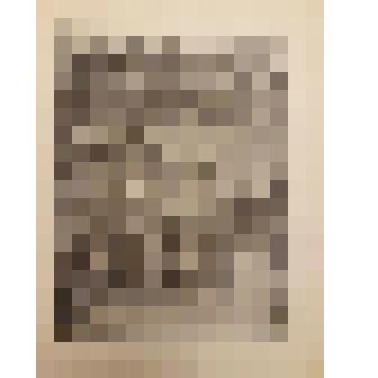 Planche № 3. Hôtel Thorigny-Salé. Литография из альбома "Paris, ses vieux hotels"