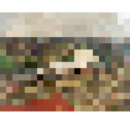 Картина. Река Кинешемка